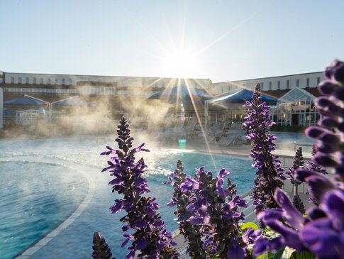 Hier sehen Sie eine Außenpoolbereich. Es steigt leichter Nebel vom warmen Pool auf. Im Vordergrund sind lila Blumen zu sehen. 