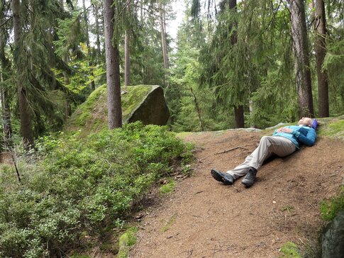 Hier sehen Sie eine Frau mit beiger Hose und blauer Jacke, die auf einem kleinen Hügel im Wald liegt.