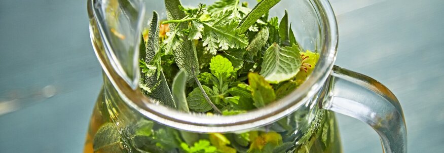 Hier sehen Sie eine Wasserkrug aus Glas. In dem Krug sind viele unterschiedliche Kräuter und Blüten, aufgefüllt mit Wasser. 