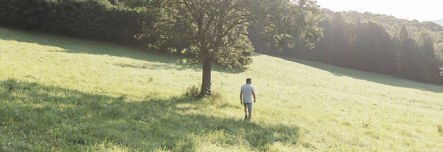 Mann geht auf einer sonnenbelichteten Wiese zu einem großen Laubbaum.