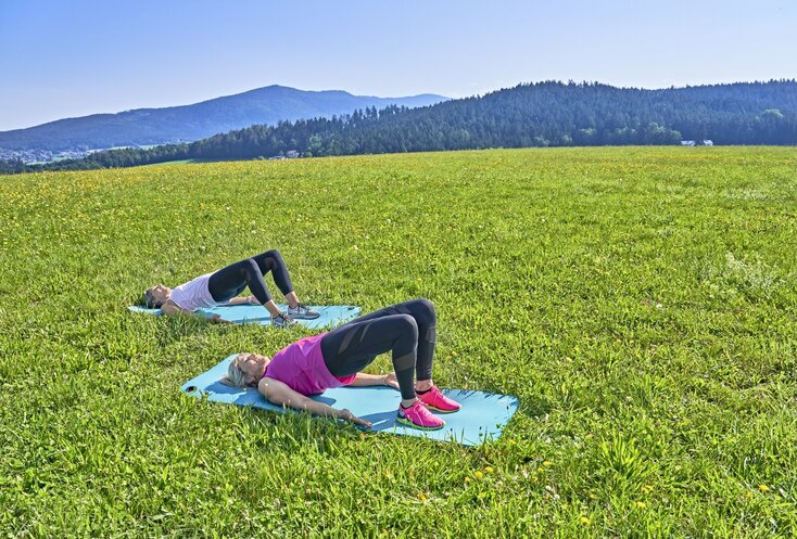 Hier sehen Sie zwei Frauen auf einer Wiese. Sie tragen Sportkleidung und machen Rückenübungen auf den Boden.