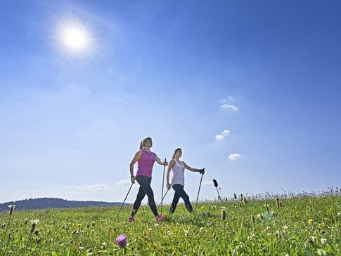 Hier sehen Sie zwei Frauen, welche über eine Wiese Walken. 