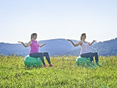 Hier sehen Sie zwei Frauen auf einer Wiese. Sie tragen Sportkleidung und machen Gymnastik auf einem Sportball.