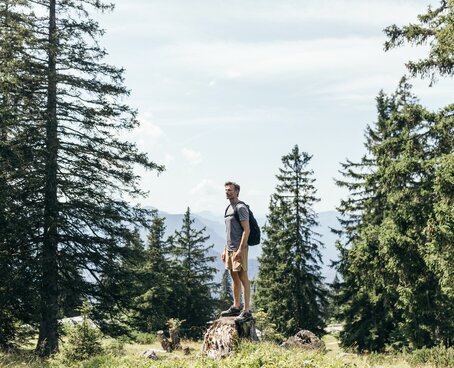 Mann steht auf Baumstumpf in Landschaft beim Wandern 